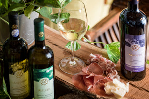 Cantina Mariotti, Montemaggiore al Metauro - Degustazione vini con piccola selezione di salumi e formaggi